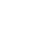 Special Security Icon